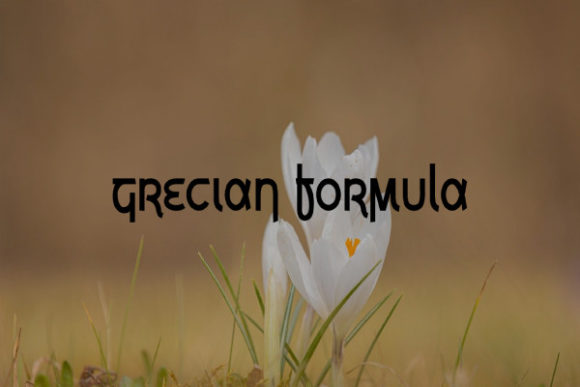 Grecian Formula: A Display Font That Makes Handmade Products Shine