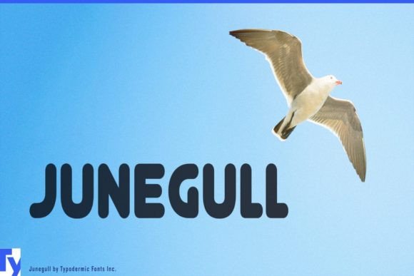 Junegull: A Soft, Smart Display Font for Editorial Design