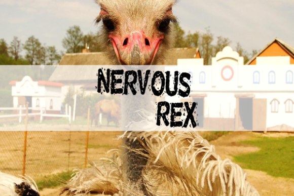 Nervous Rex: A Playful Display Font That Shines Online
