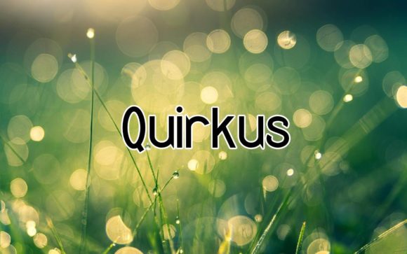 Quirkus: Bold Display Typeface for Digital Creators
